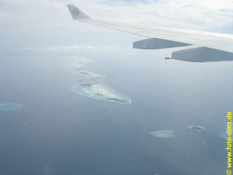 DSC02633