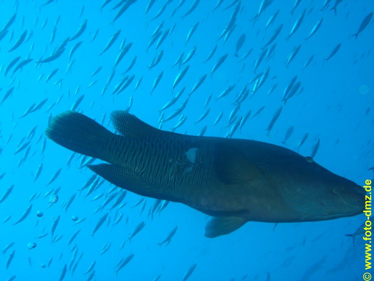 DSC03318