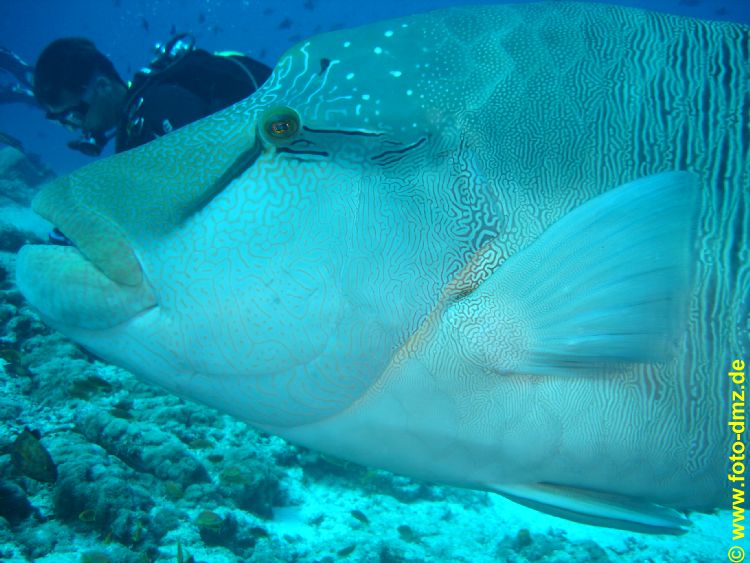 DSC03377