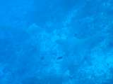 DSC02853