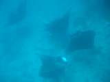 DSC03181