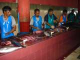 DSC03877a