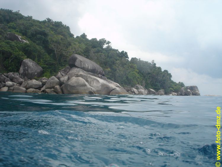 DSC05661