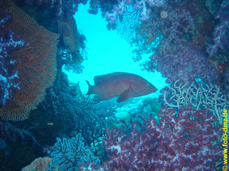 DSC05857