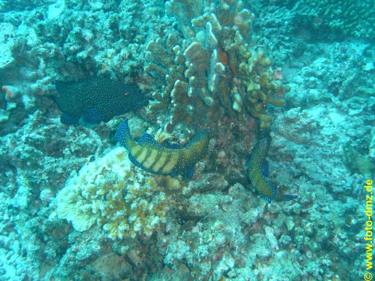 DSC05875