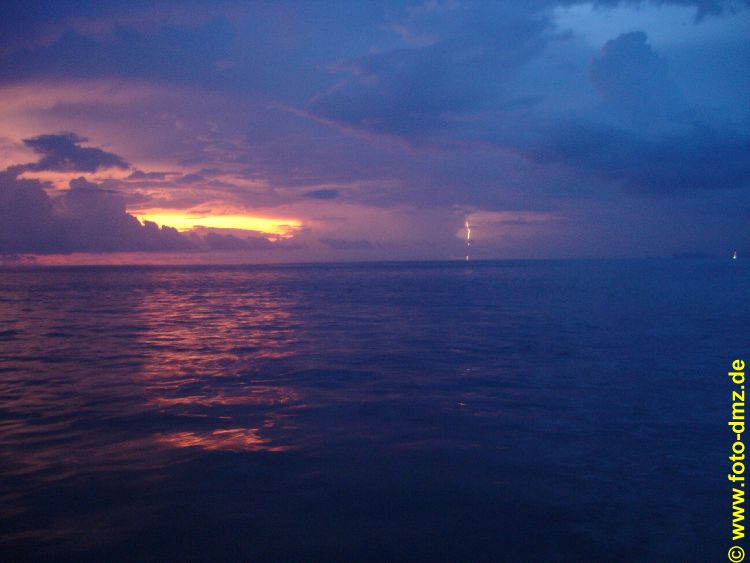 DSC06205