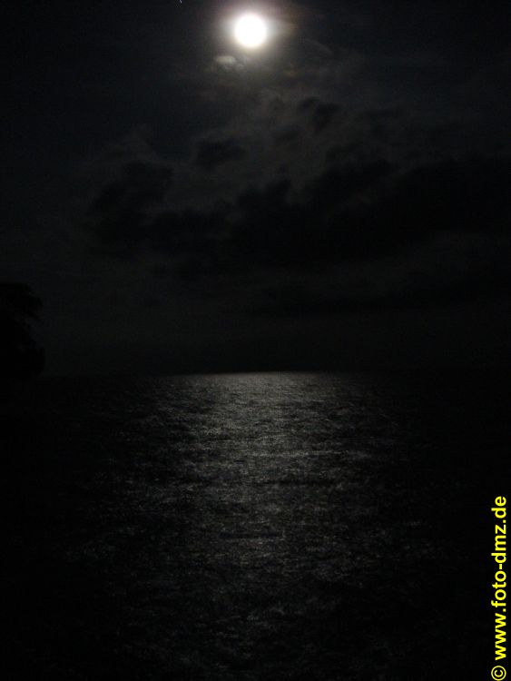 DSC06246
