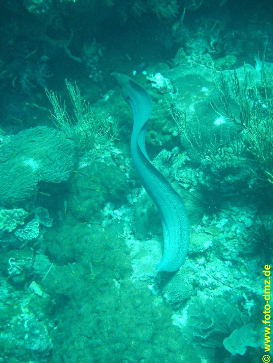 DSC06431