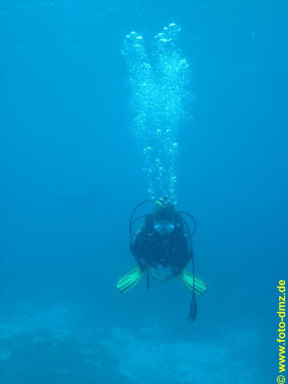 DSC06563