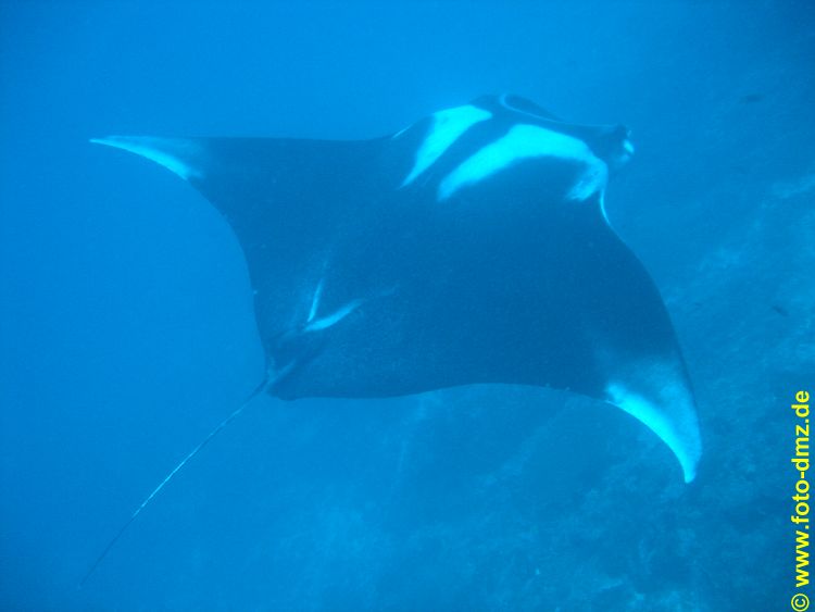 DSC06700