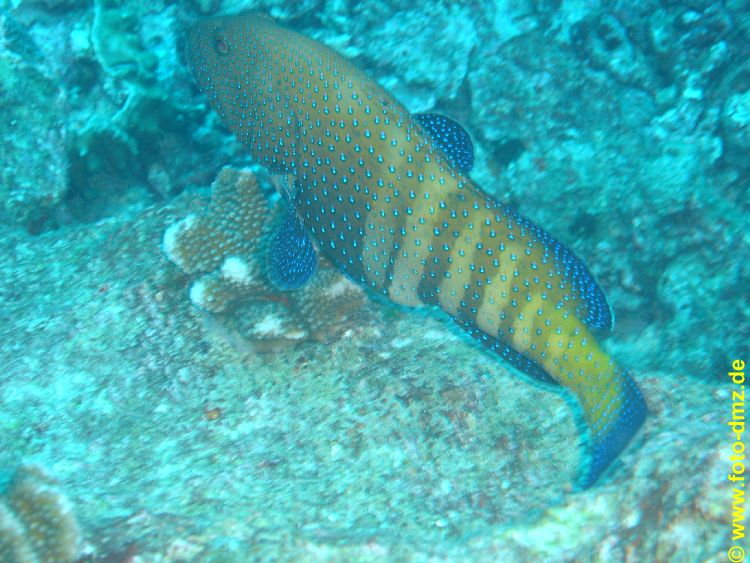 DSC06765