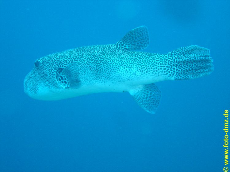 DSC06769