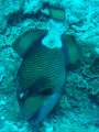 DSC05620