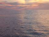 DSC06349