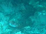 DSC06653