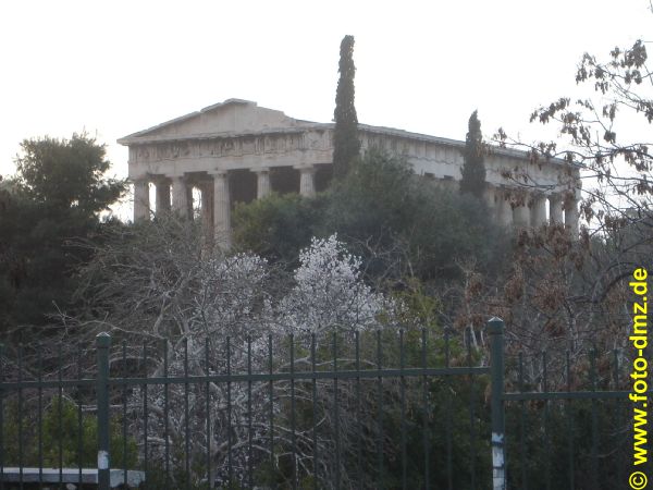 DSC00774