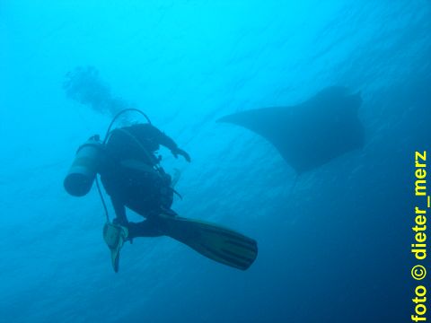 Philip-taucht-tiefer-als-Manta